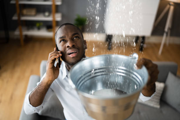 Best Mold removal after water damage  in Lakewood, IL