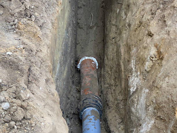Best Flood damage cleanup  in Lakewood, IL