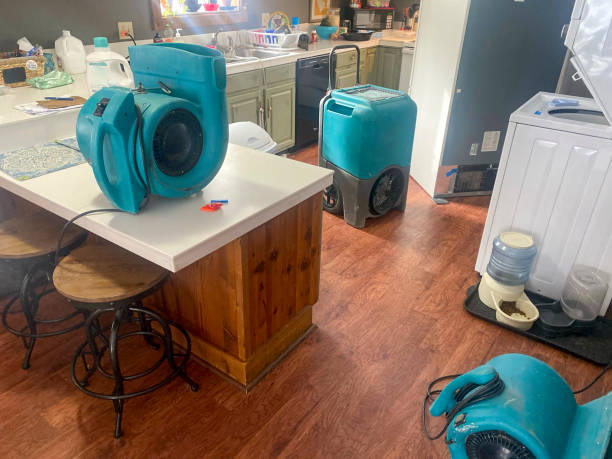 Best Commercial water damage restoration  in Lakewood, IL