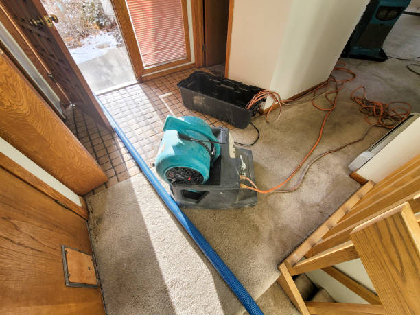Best Water damage restoration insurance claims  in Lakewood, IL